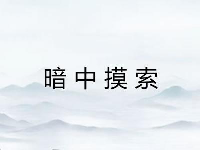 暗中摸索