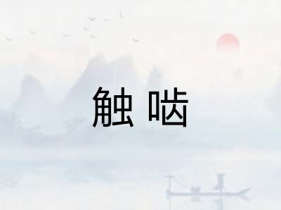 触啮