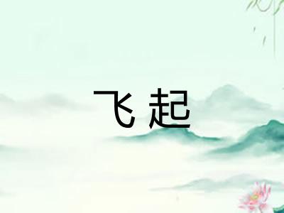 飞起