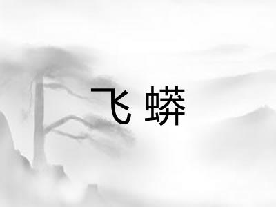 飞蟒 飞蟒