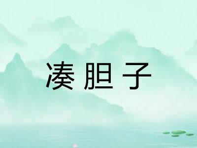 凑胆子