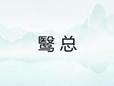 鹥总