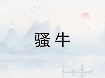 骚牛