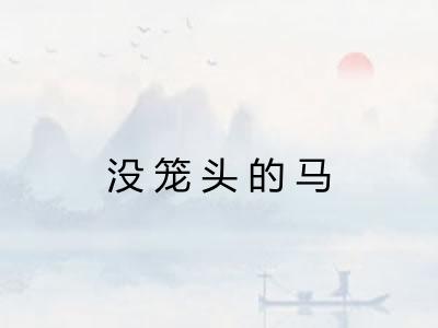 没笼头的马