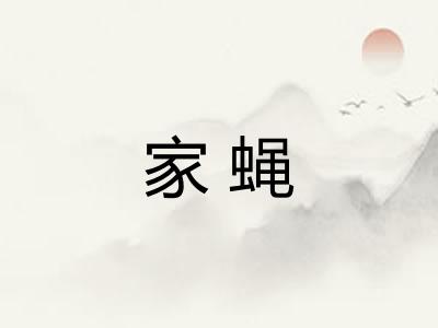 家蝇