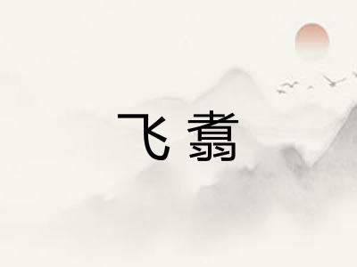 飞翥