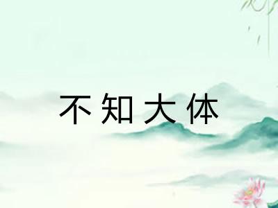 不知大体