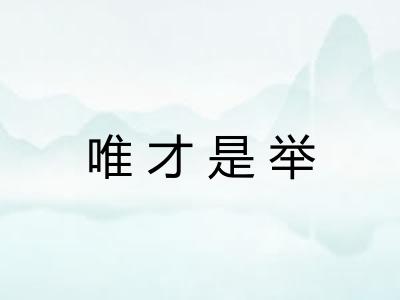 唯才是举