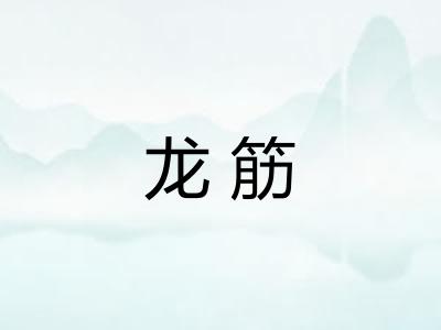龙筋
