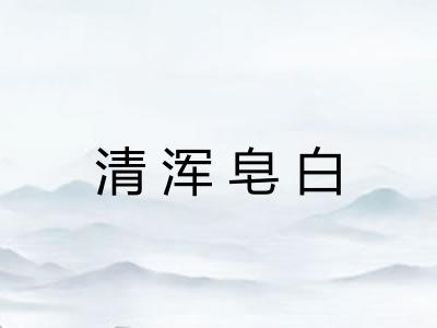 清浑皂白