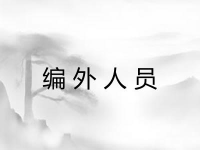 编外人员