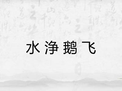 水浄鹅飞