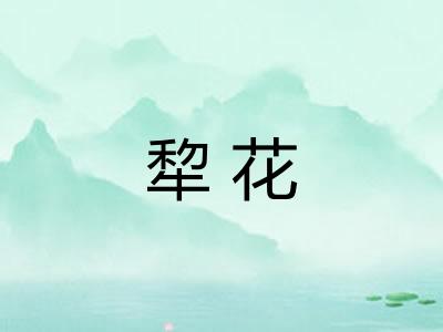 犂花