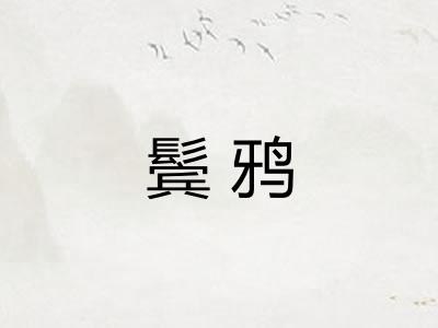 鬓鸦