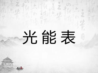 光能表