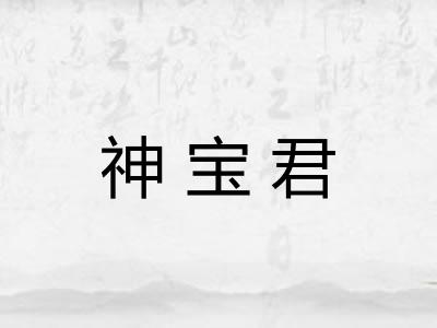 神宝君