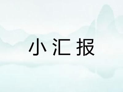 小汇报