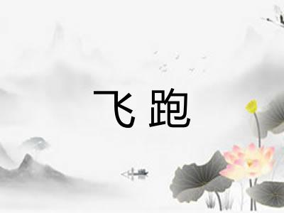 飞跑