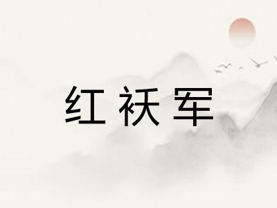 红袄军