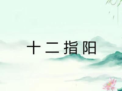 十二指阳