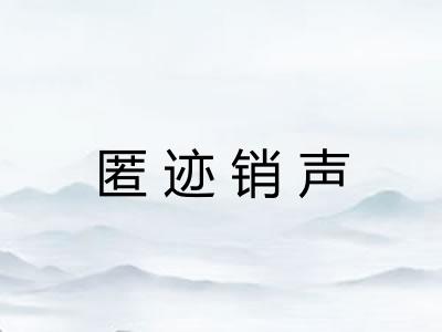 匿迹销声