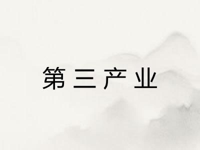第三产业