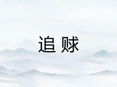 追赇