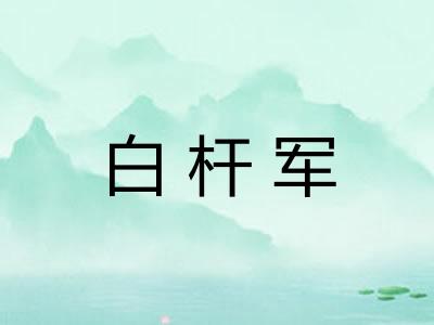 白杆军