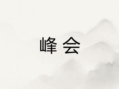 峰会