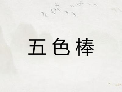五色棒