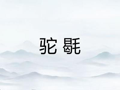 驼毼