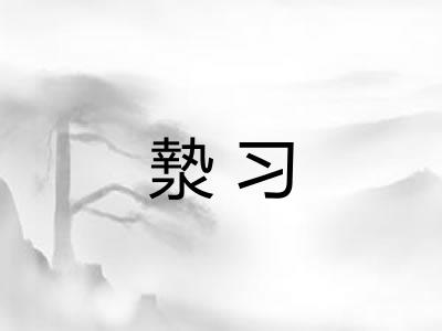 漐习
