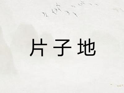 片子地