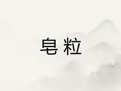 皂粒
