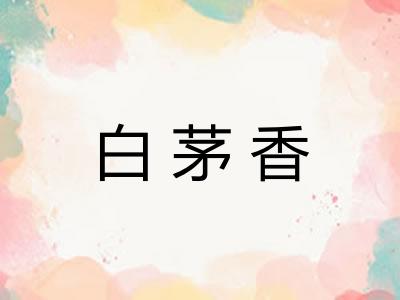 白茅香