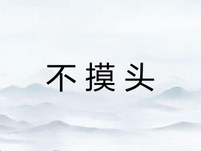 不摸头