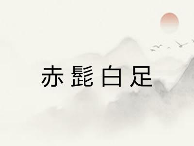 赤髭白足