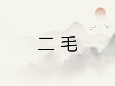二毛