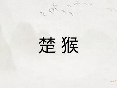 楚猴