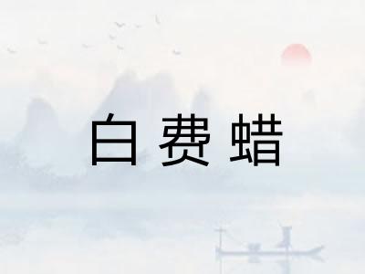 白费蜡