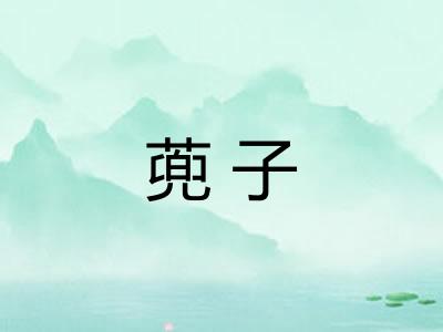 蔸子 蔸子