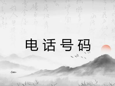 电话号码 电话号码