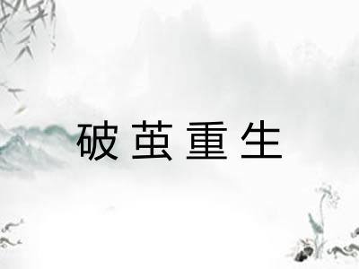 破茧重生