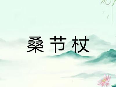 桑节杖