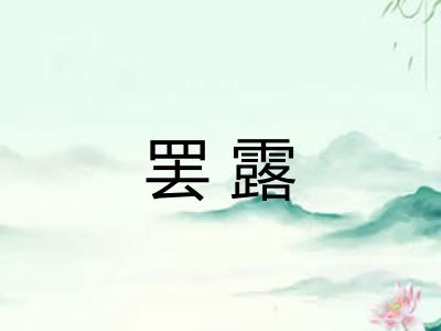 罢露