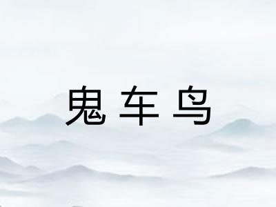 鬼车鸟