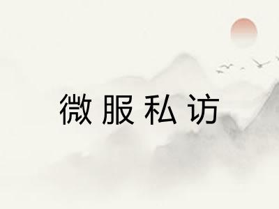 微服私访