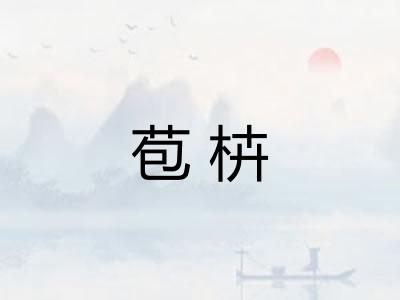 苞枿