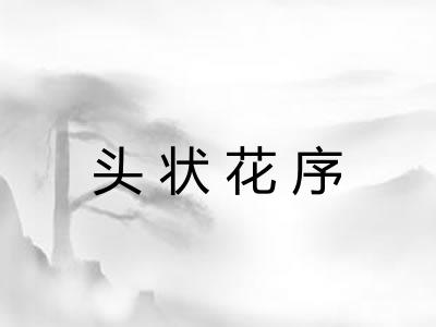 头状花序
