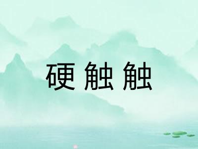 硬触触